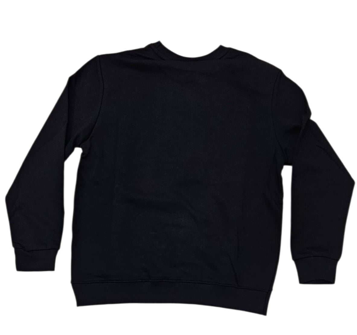 ICUF2W6F056 NERO - FELPA - ICON