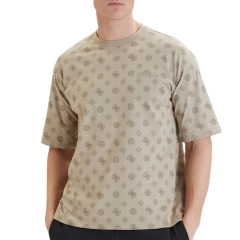 Z6GI07 K2852 PMKU - T-Shirt e Polo - Guess