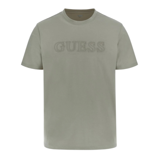 Z2YI11J1314 G9D5 - T-Shirt e Polo - Guess